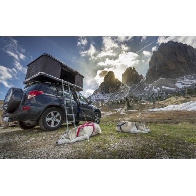 Autohome stogo palapinė MEDIUM