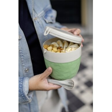 Bento dėžutė BENTOBOX L natural lapų žalia 1