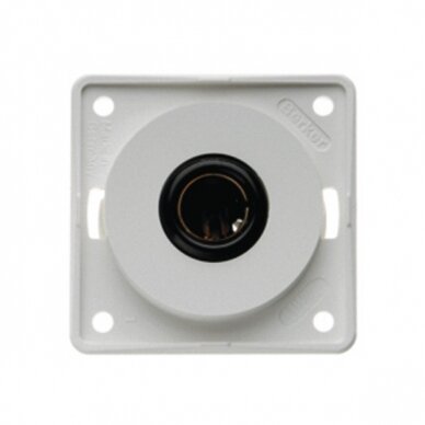 Berker INTEGRO automobilinis lizdas 12V antracitas 1