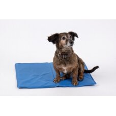 Camp4 Cool - vėsinimo kilimėlis šunims