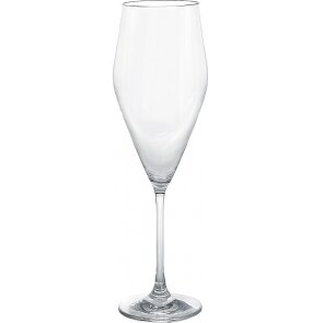Elegance šampano taurė, skaidri, rinkinys 2 230 ml Elegance šampano taurė, skaidri, rinkinys 2 230 ml