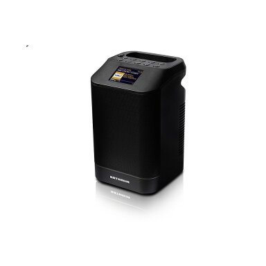 Garsiakalbis DAB+ 10 Tower, juoda spalva Garsiakalbis DAB+ 10 Tower, juoda spalva