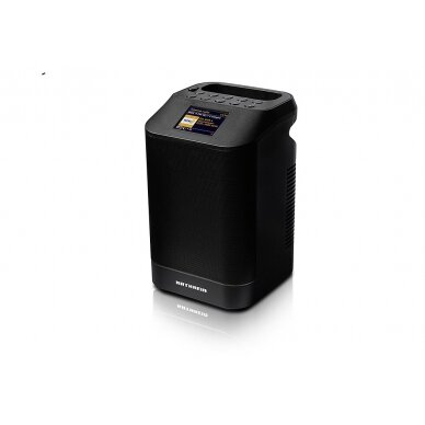 Garsiakalbis DAB+ 10 Tower, juoda spalva