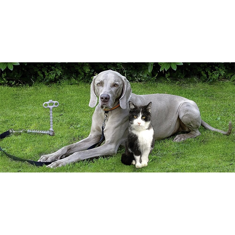 PetPeg 1 PetPeg 1